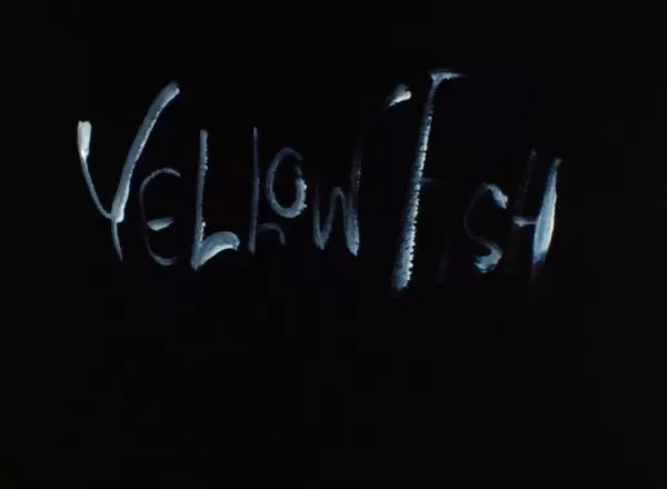 Yellow Fish