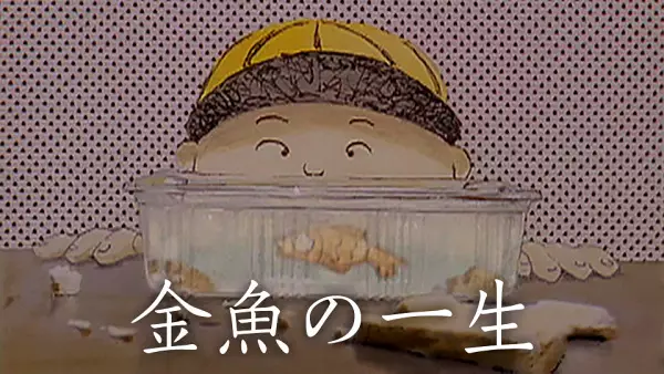 Short and Happy Life of a Goldfish